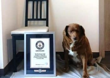 وفاة أكبر في العالم